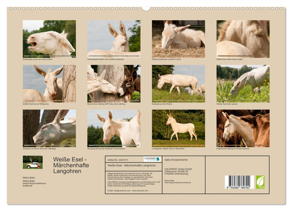 Weiße Esel - Märchenhafte Langohren (CALVENDO Premium Wandkalender 2027)
