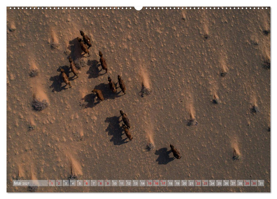 Mongolei - imposantes Land (CALVENDO Wandkalender 2027)