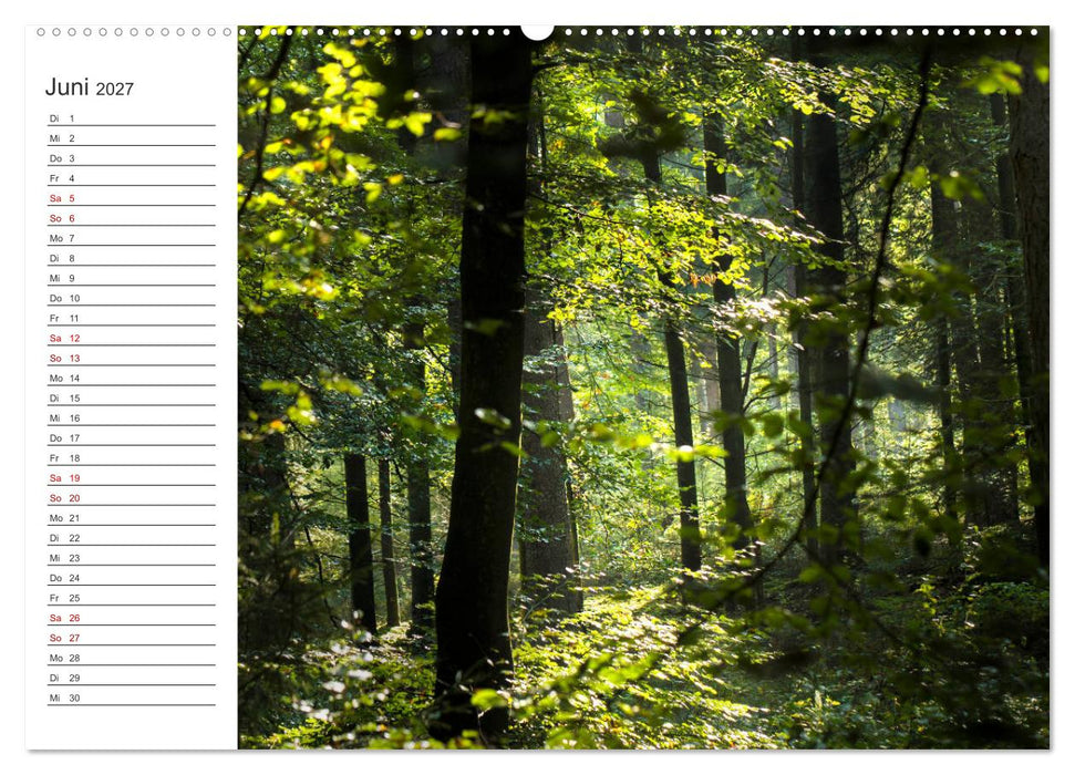 Worpswede - Naturschönheiten im Teufelsmoor (CALVENDO Premium Wandkalender 2027)