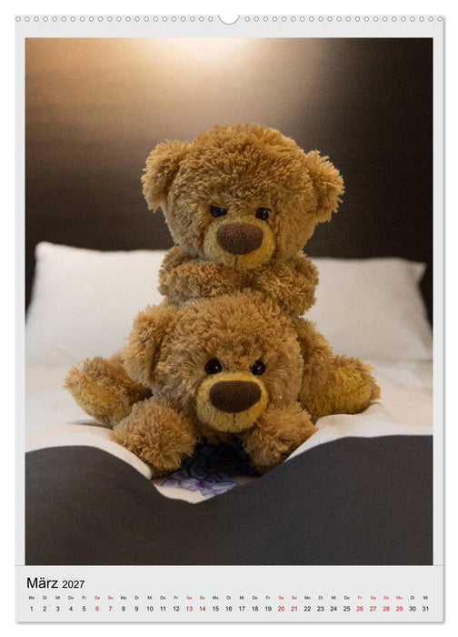 Travelling Teddy in Europa (CALVENDO Premium Wandkalender 2027)