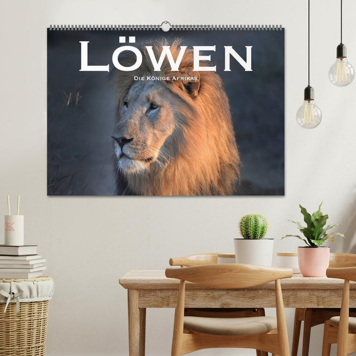 Löwen. Die Könige Afrikas (CALVENDO Wandkalender 2027)