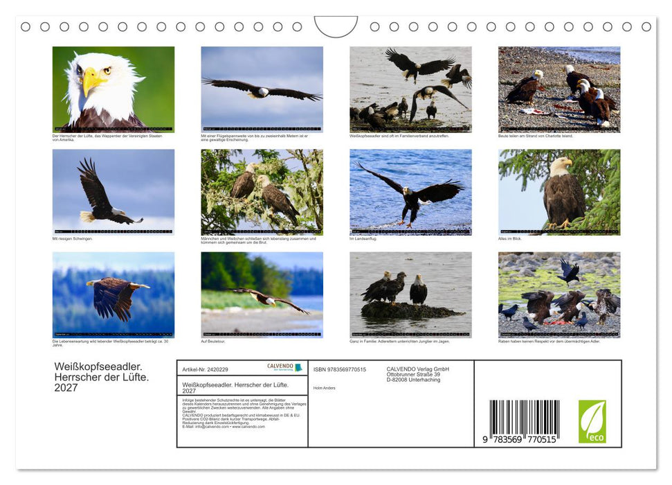 Weißkopfseeadler. Herrscher der Lüfte. 2027 (CALVENDO Wandkalender 2027)