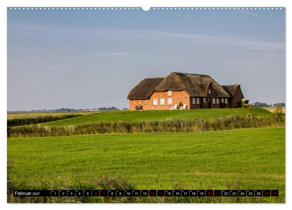 Nordseeinsel Pellworm 2027 (CALVENDO Premium Wandkalender 2027)