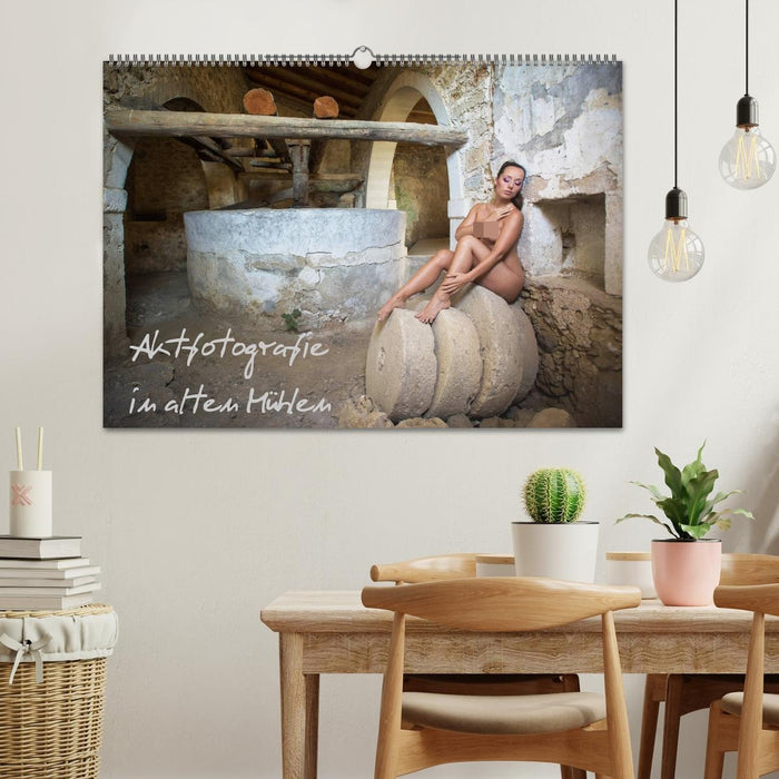Aktfotografie in alten Mühlen (CALVENDO Wandkalender 2027)