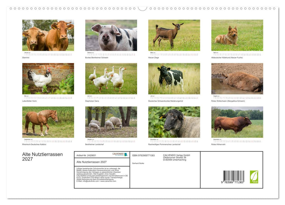 Alte Nutztierrassen 2027 (CALVENDO Premium Wandkalender 2027)