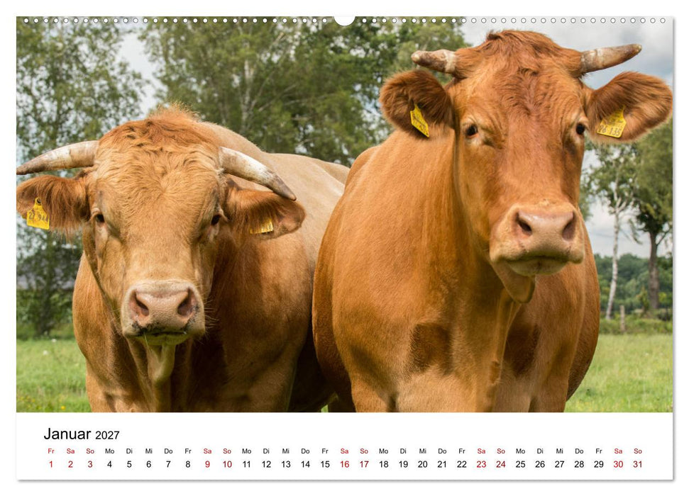 Alte Nutztierrassen 2027 (CALVENDO Premium Wandkalender 2027)