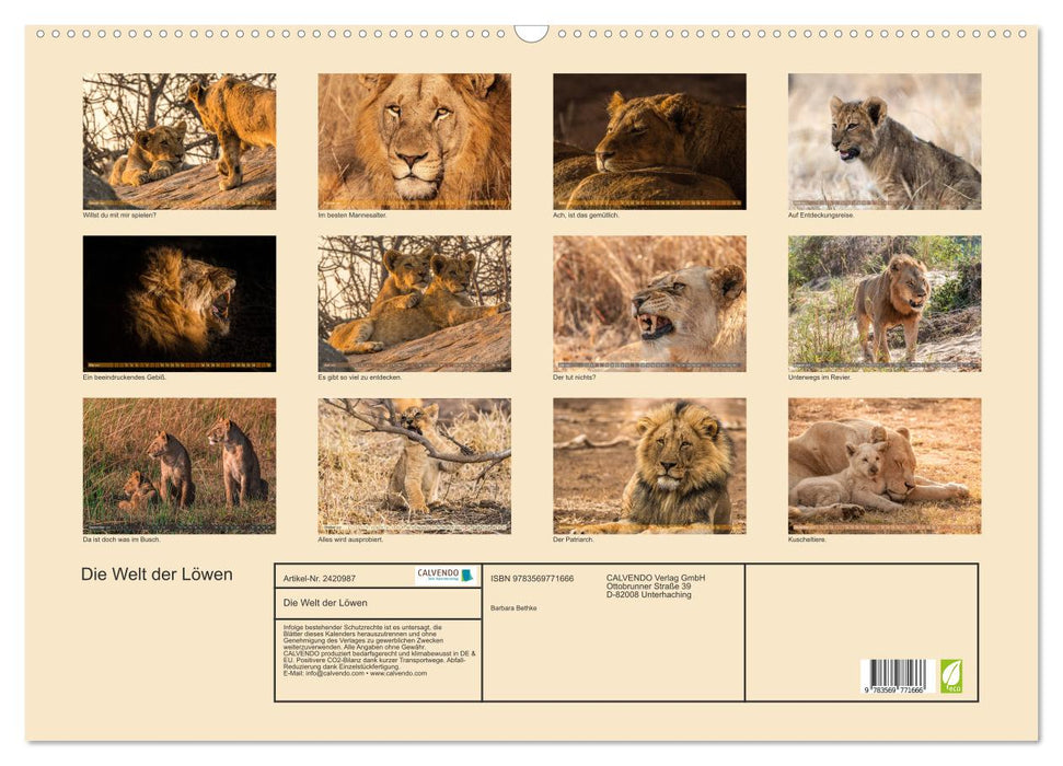 Die Welt der Löwen (CALVENDO Wandkalender 2027)