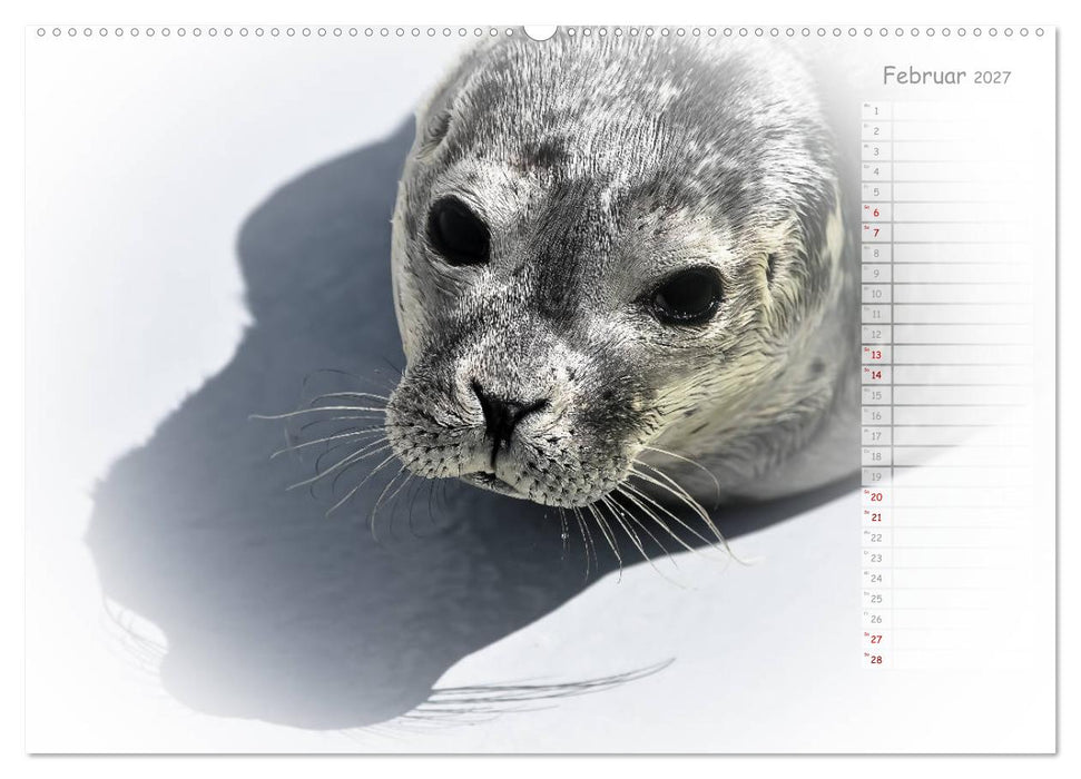 Ein Sommer auf Texel (CALVENDO Wandkalender 2027)