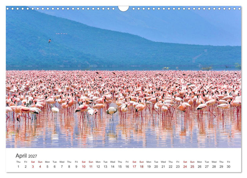 Kenya - a country like Africa (CALVENDO Monthly Calendar 2027)