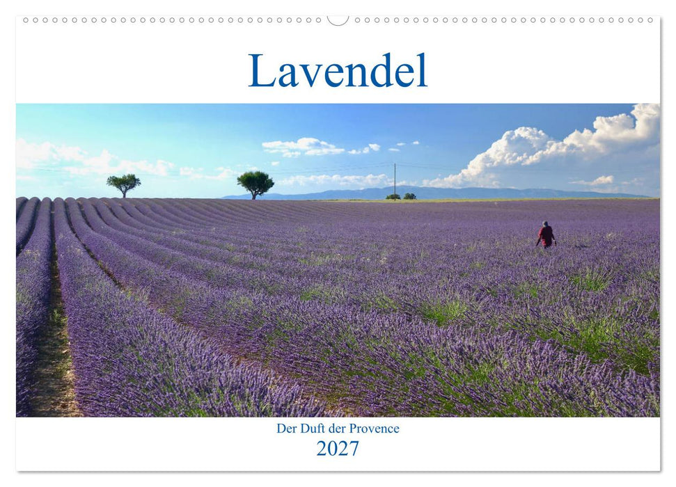 Lavendel. Der Duft der Provence (CALVENDO Wandkalender 2027)