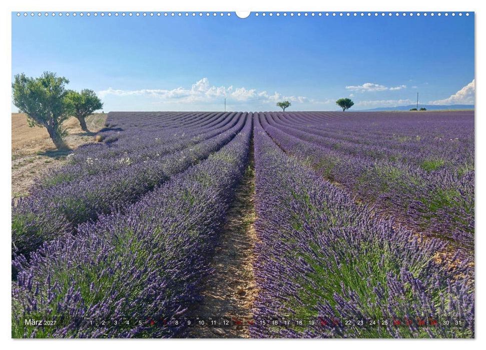 Lavendel. Der Duft der Provence (CALVENDO Wandkalender 2027)