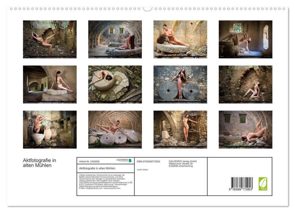 Aktfotografie in alten Mühlen (CALVENDO Premium Wandkalender 2027)