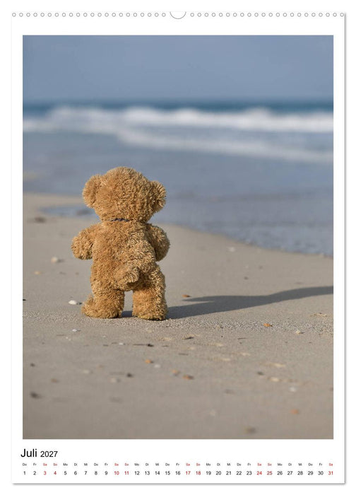 Travelling Teddy Kuba Edition 2027 (CALVENDO Premium Wandkalender 2027)