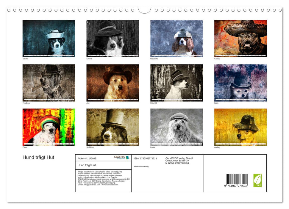 Hund trägt Hut (CALVENDO Wandkalender 2027)