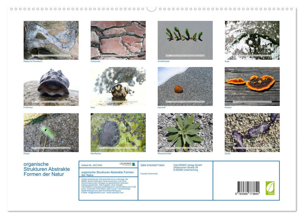 organische Strukturen Abstrakte Formen der Natur (CALVENDO Premium Wandkalender 2027)