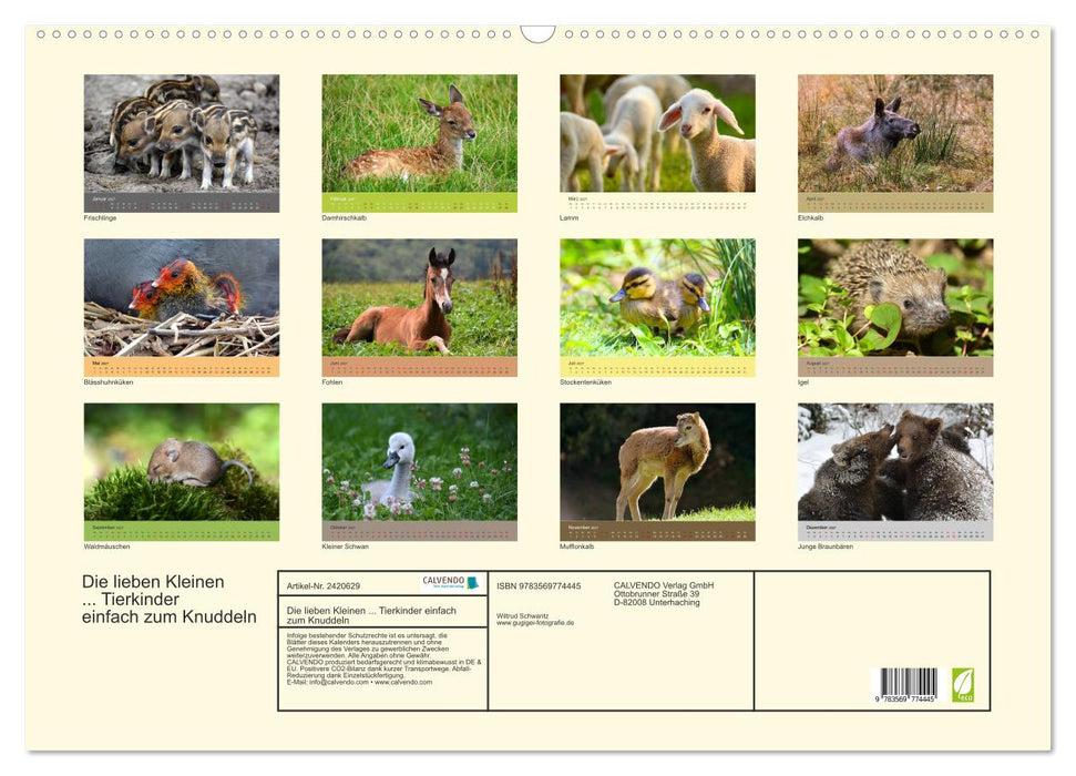 Die lieben Kleinen... Tierkinder einfach zum Knuddeln (CALVENDO Wandkalender 2027)
