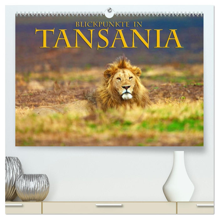 Blickpunkte Tansanias (CALVENDO Premium Wandkalender 2027)