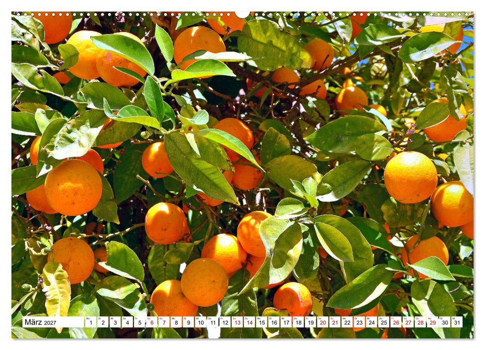 Griechische Insel Kos (CALVENDO Wandkalender 2027)