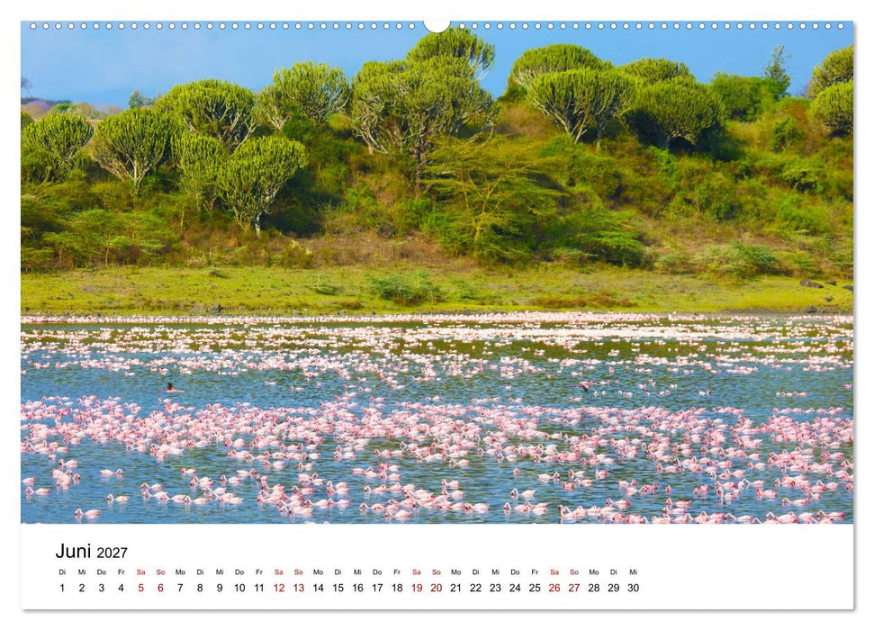 Blickpunkte Tansanias (CALVENDO Wandkalender 2027)
