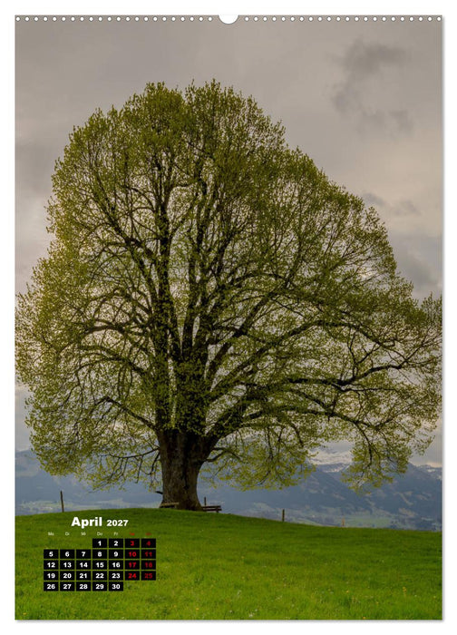 Leichte Wanderziele um Oberstdorf (CALVENDO Premium Wandkalender 2027)