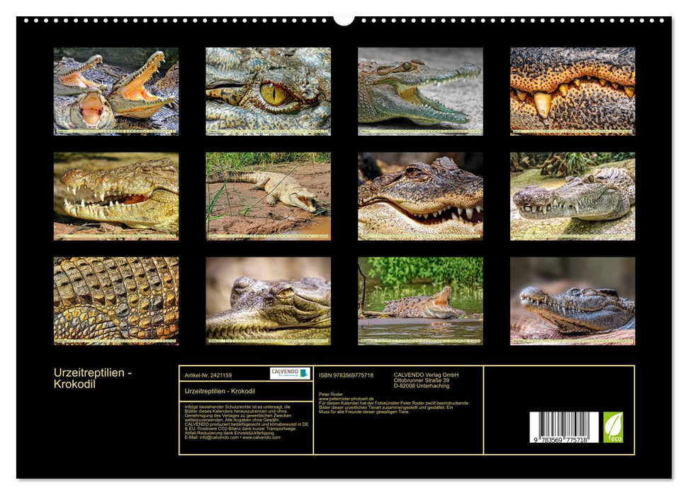 Urzeitreptilien - Krokodil (CALVENDO Premium Wandkalender 2027)