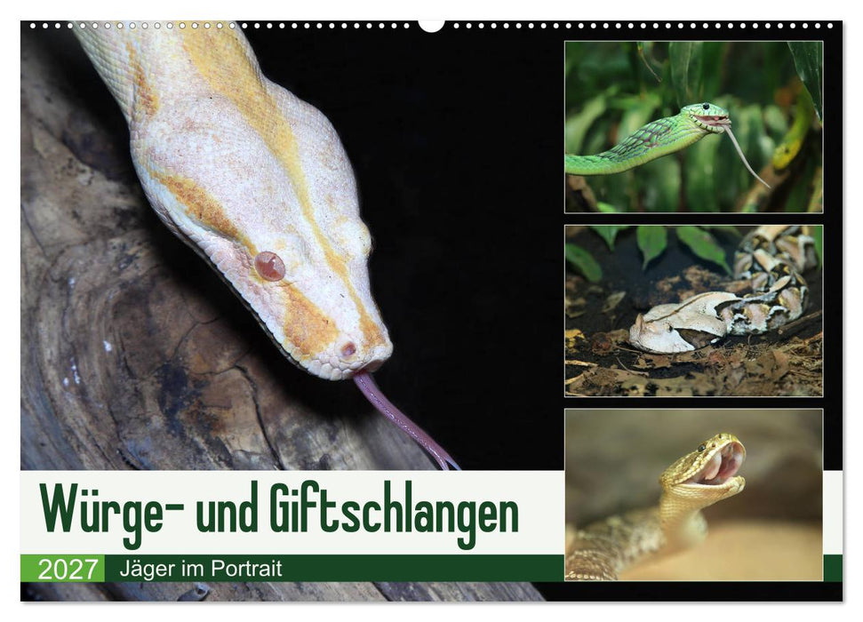 Würge- und Giftschlangen (CALVENDO Wandkalender 2027)