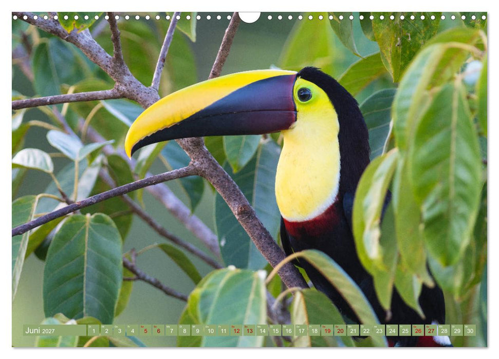 Farbenfrohes Costa Rica (CALVENDO Wandkalender 2027)
