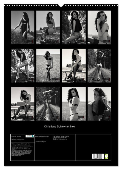 Christiane Schleicher Noir (CALVENDO Wandkalender 2027)