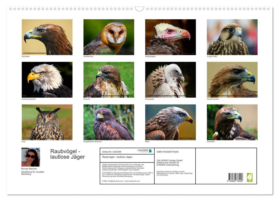 Raubvögel - lautlose Jäger (CALVENDO Wandkalender 2027)