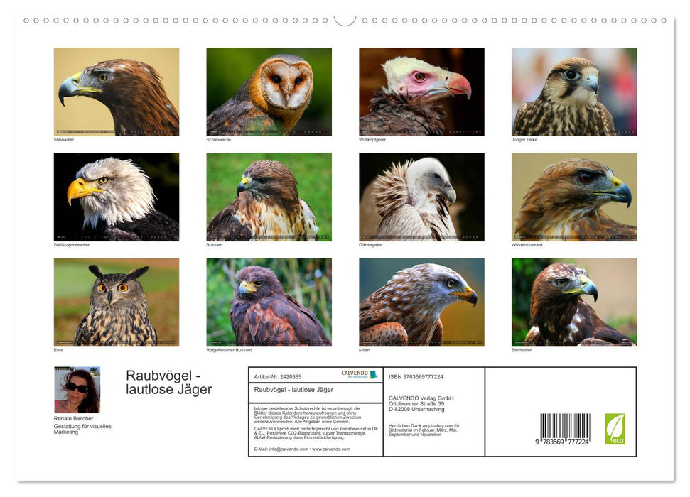 Raubvögel - lautlose Jäger (CALVENDO Premium Wandkalender 2027)
