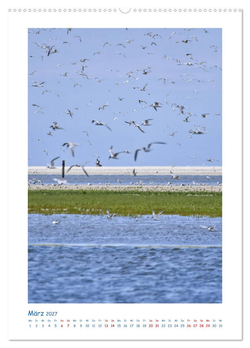 Texel - Momente die verzaubern (CALVENDO Wandkalender 2027)