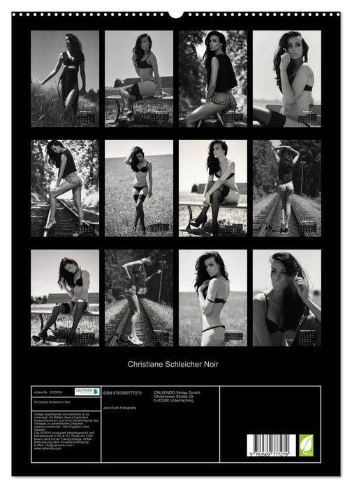 Christiane Schleicher Noir (CALVENDO Premium Wandkalender 2027)
