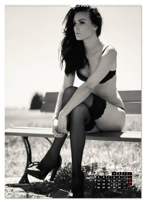 Christiane Schleicher Noir (CALVENDO Premium Wandkalender 2027)