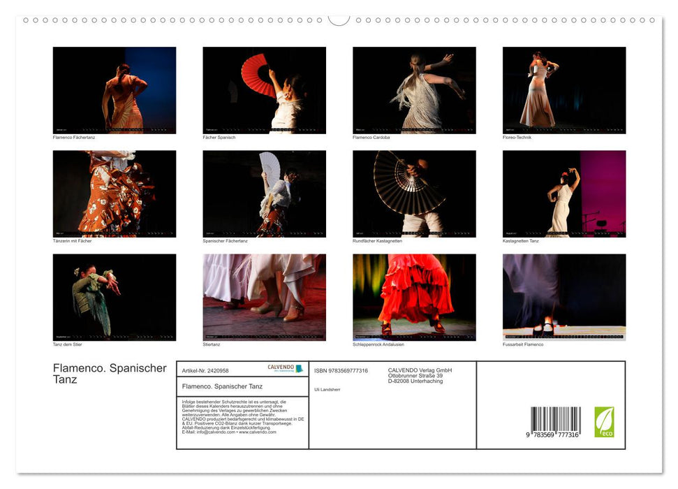 Flamenco. Spanischer Tanz (CALVENDO Premium Wandkalender 2027)