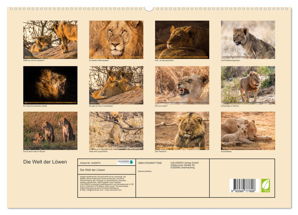Die Welt der Löwen (CALVENDO Premium Wandkalender 2027)