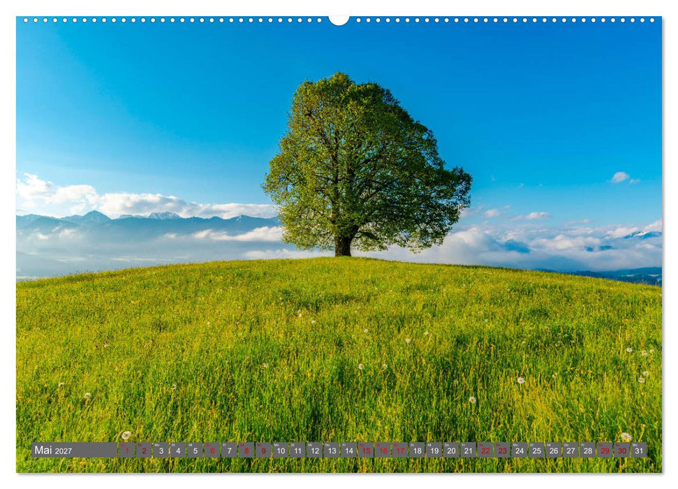 Faszination Oberallgäu (CALVENDO Wandkalender 2027)