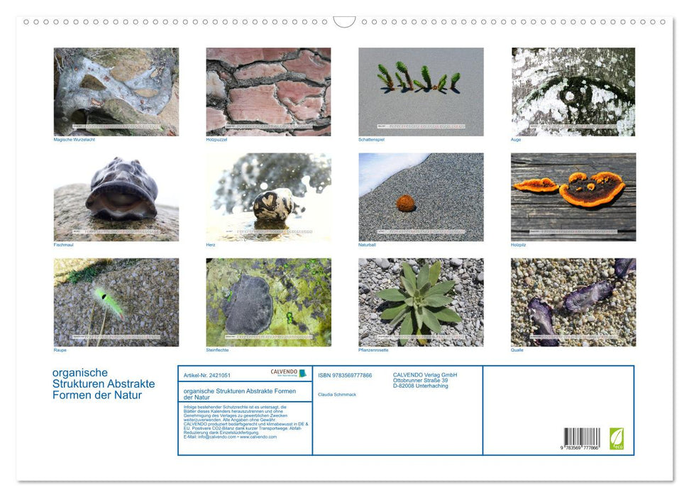 organische Strukturen Abstrakte Formen der Natur (CALVENDO Wandkalender 2027)