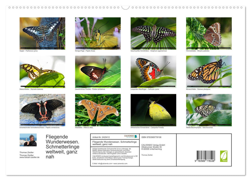 Fliegende Wunderwesen. Schmetterlinge weltweit, ganz nah (CALVENDO Premium Wandkalender 2027)