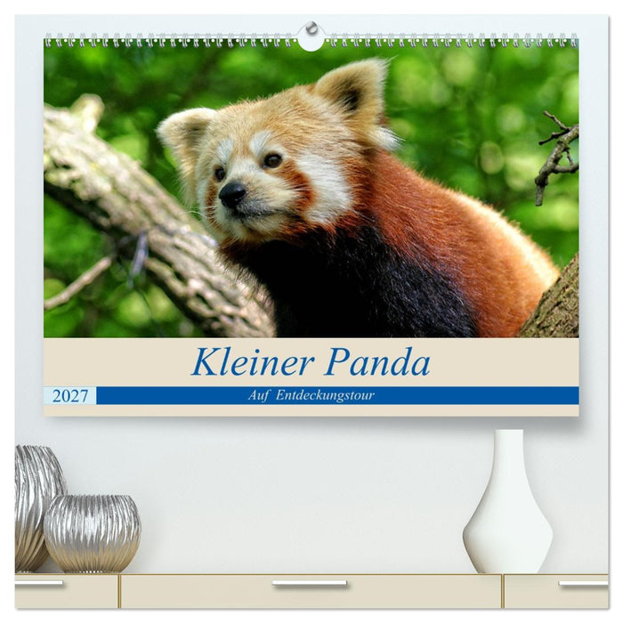 Kleiner Panda auf Entdeckungstour (CALVENDO Premium Wandkalender 2027)