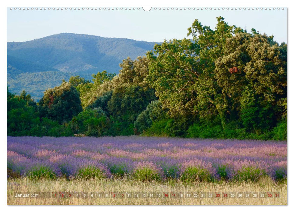 Lavendel. Der Duft der Provence (CALVENDO Premium Wandkalender 2027)