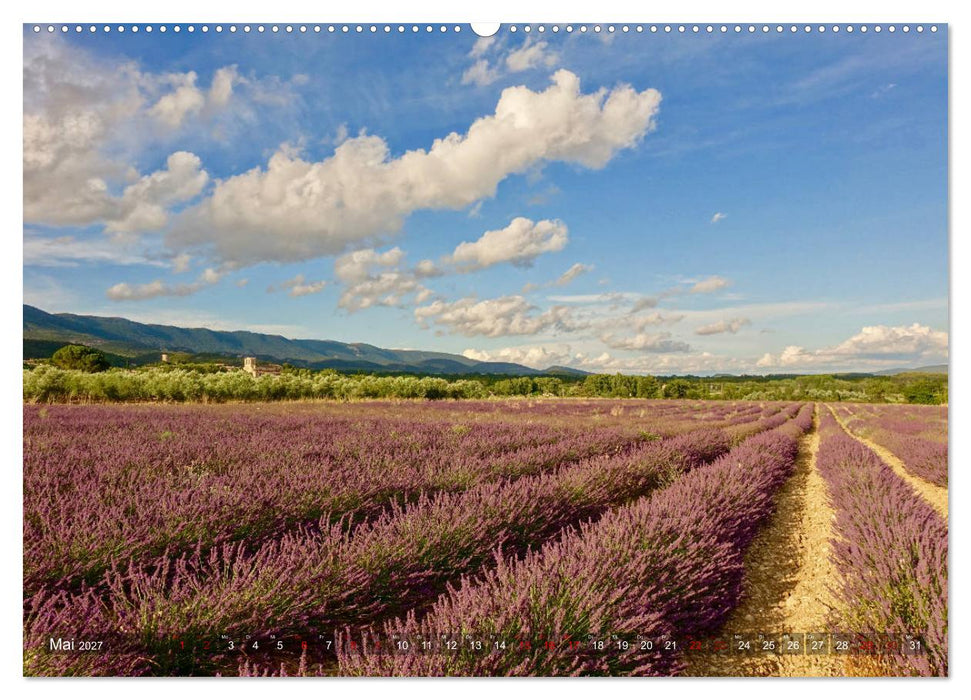 Lavendel. Der Duft der Provence (CALVENDO Premium Wandkalender 2027)