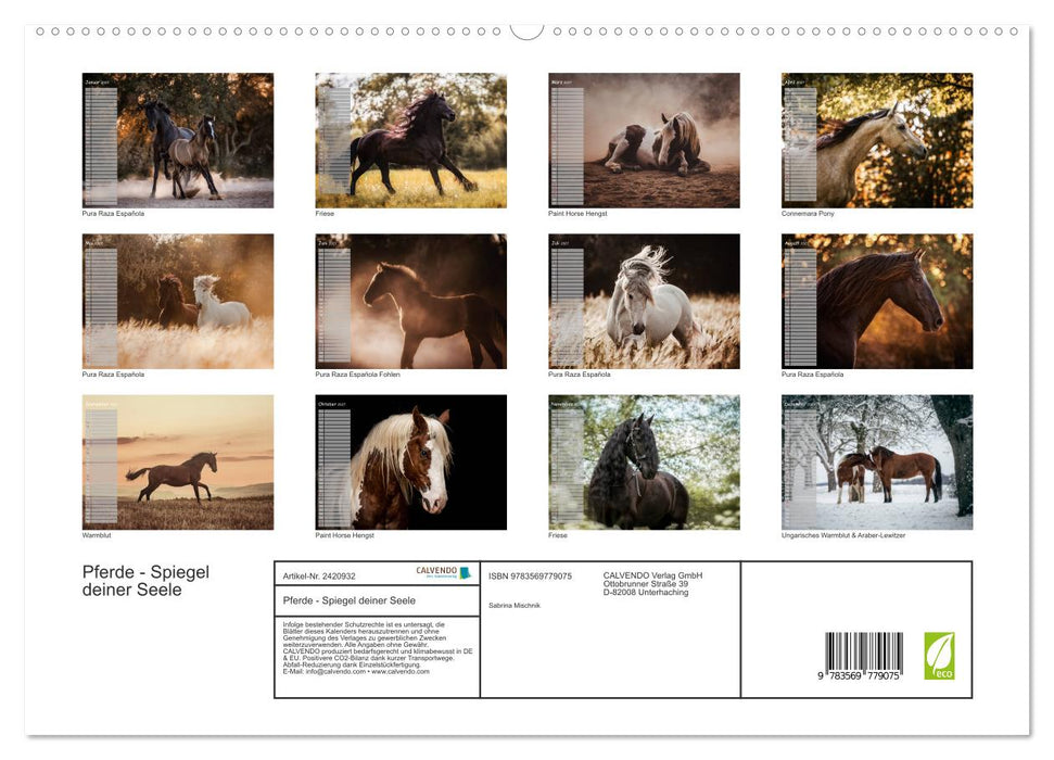 Pferde - Spiegel deiner Seele (CALVENDO Premium Wandkalender 2027)