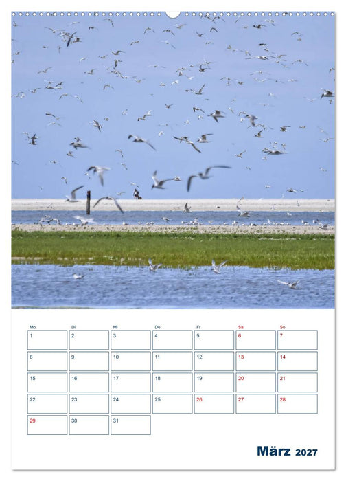 Texel - Momente die verzaubern (CALVENDO Wandkalender 2027)