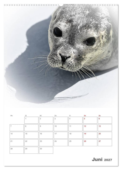 Texel - Momente die verzaubern (CALVENDO Wandkalender 2027)