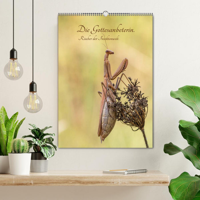 Die Gottesanbeterin. Räuber der Insektenwelt. (CALVENDO Wandkalender 2027)