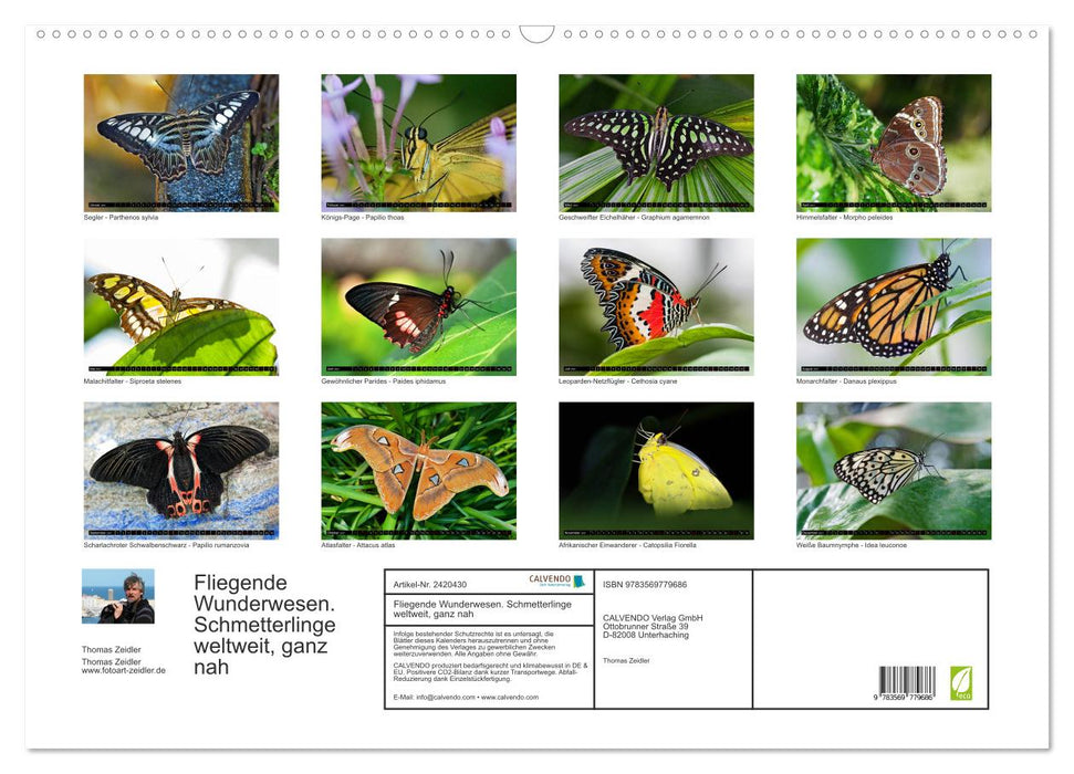 Fliegende Wunderwesen. Schmetterlinge weltweit, ganz nah (CALVENDO Wandkalender 2027)