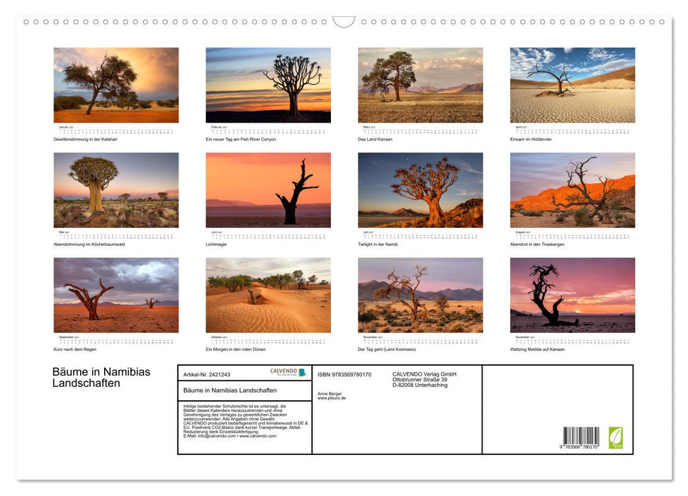 Bäume in Namibias Landschaften (CALVENDO Wandkalender 2027)