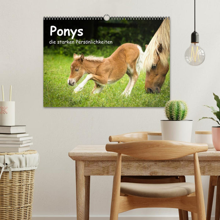 Ponys, die starken Persönlichkeiten (CALVENDO Wandkalender 2027)