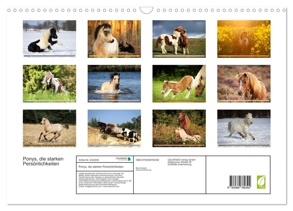 Ponys, die starken Persönlichkeiten (CALVENDO Wandkalender 2027)