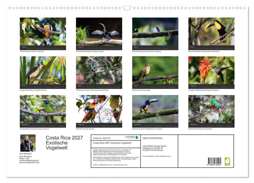 Costa Rica 2027 Exotische Vogelwelt (CALVENDO Wandkalender 2027)